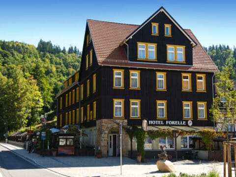 Außenansicht des Ferienhotel Forelle in Treseburg für Silvesterreisen