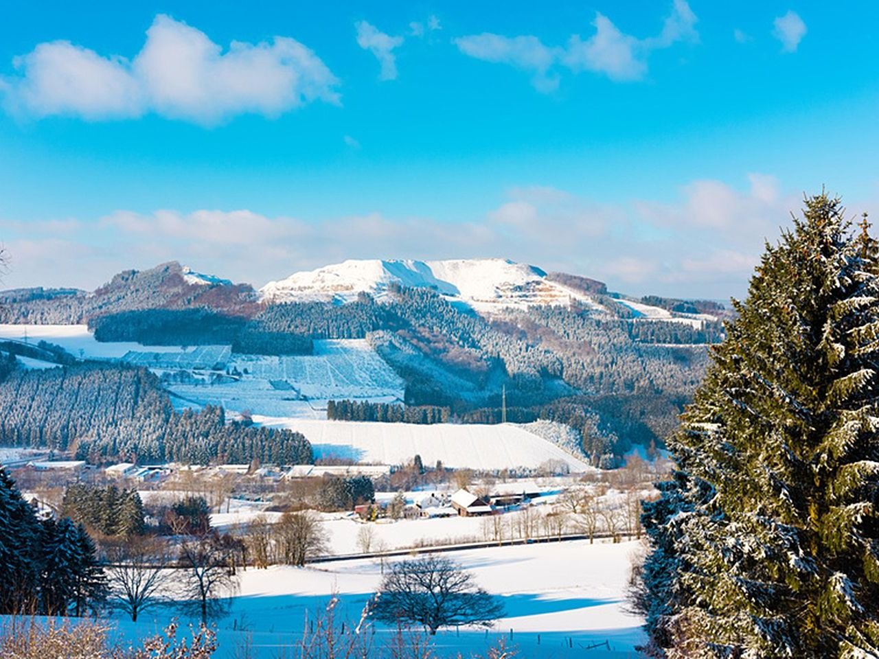 Schneebedeckte Hügel und Wälder nahe dem Panorama Hotel Winterberg