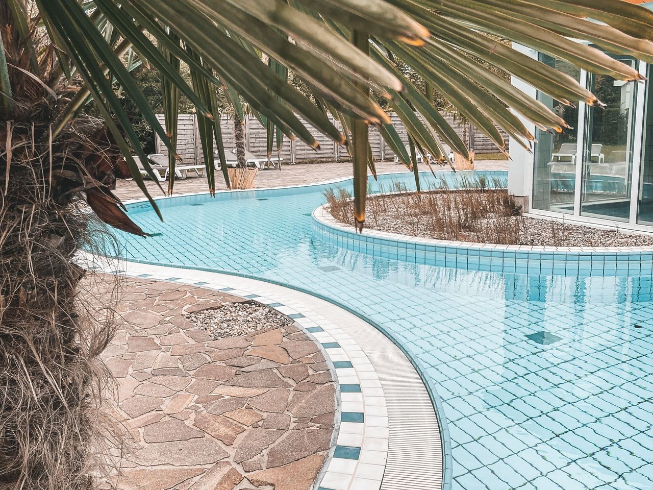Außenbereich mit Pool und Palmen im Aedenlife Hotel & Resort Rügen