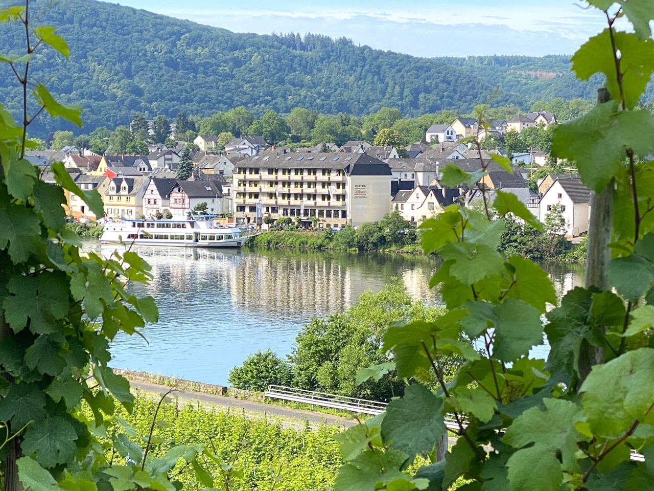 Hotel Lellmann direkt an der Mosel – ideale Silvester-Location mit traumhaftem Blick