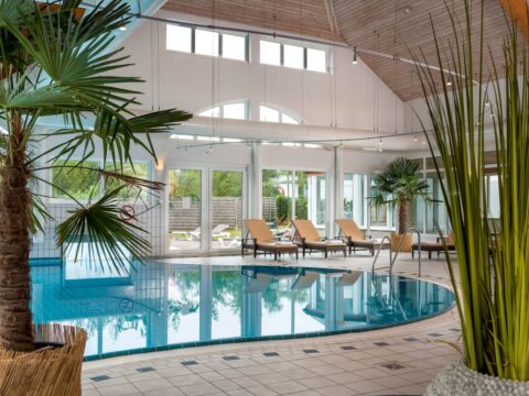 Indoor-Pool mit Liegen und Palmen im Aedenlife Hotel & Resort Rügen