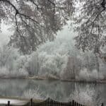 Schnee bedeckte Bäume und ein idyllischer Blick auf den Main – perfekt für einen entspannten Silvesterurlaub