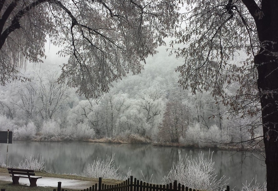 Schnee bedeckte Bäume und ein idyllischer Blick auf den Main – perfekt für einen entspannten Silvesterurlaub
