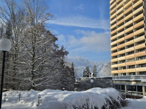 Winterliche Silvesterstimmung am Panoramic - Ihr Apartmenthotel im Harz mit verschneiter Landschaft.