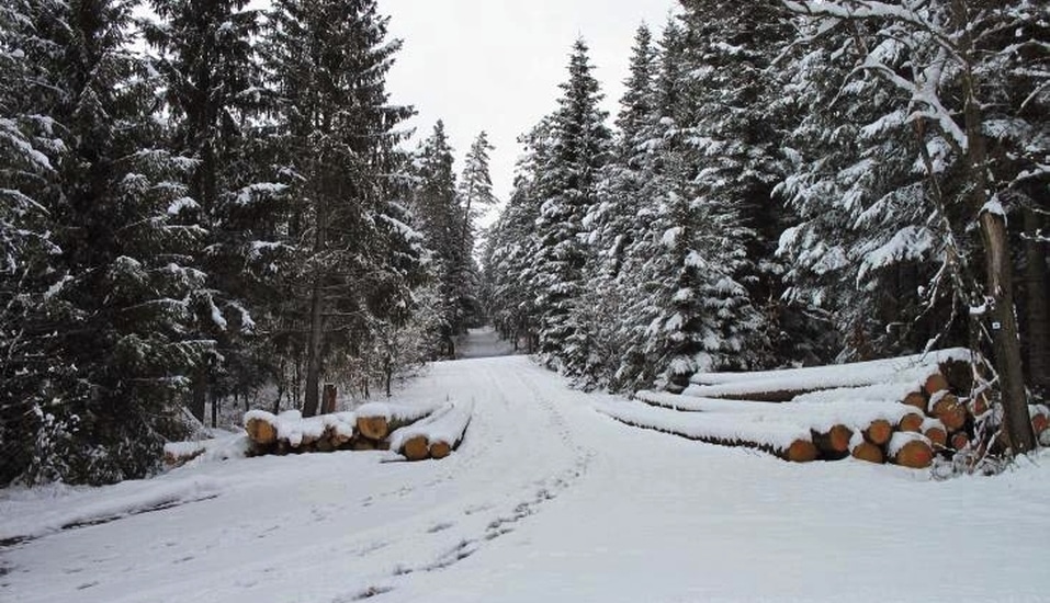 Verschneite Waldlandschaft im Schwarzwald für ein idyllisches Silvester