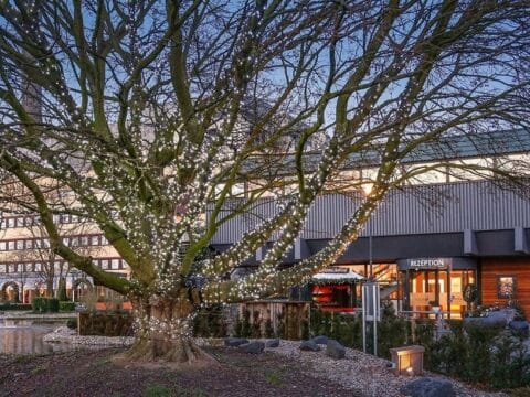 Wunderland Kalkar Hotel mit beleuchtetem Baum im Winter zu Silvester