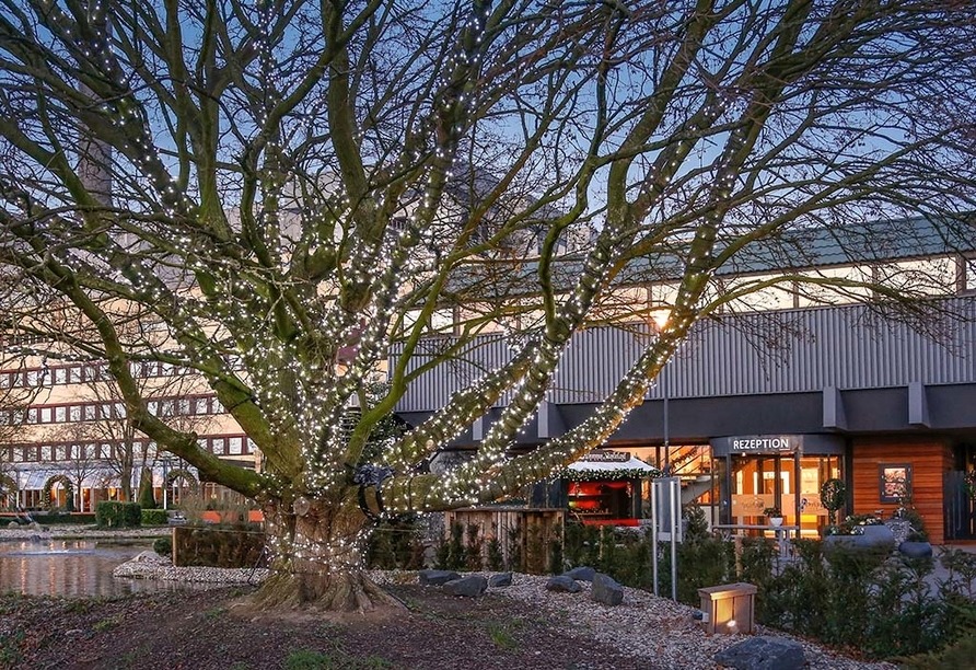 Wunderland Kalkar Hotel mit beleuchtetem Baum im Winter zu Silvester