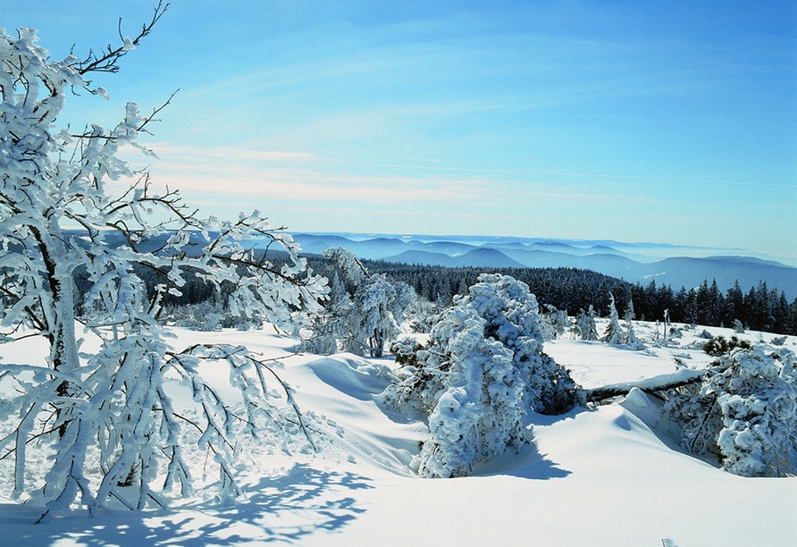 Verschneite Landschaft im Schwarzwald für einen unvergesslichen Silvesterurlaub im Höhenhotel Pfeifle