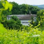 Hotel Jakob idyllisch gelegen zwischen Weinbergen im Odenwald