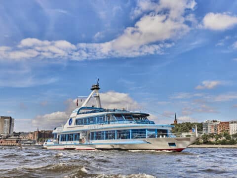 Feuerwerk über dem Hamburger Hafen mit der MS Hamburg zu Silvester